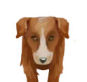 Cooper